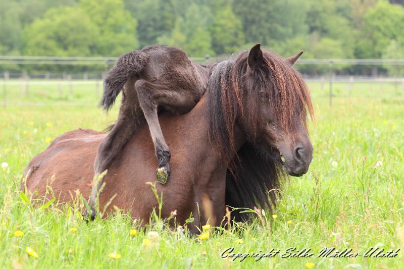 Orson y.JPG - Orson von Heidmoor